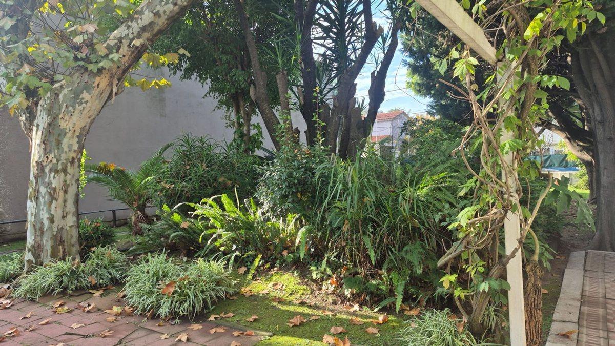 Foto de Venta Lote Bernal Centro, imagen 5