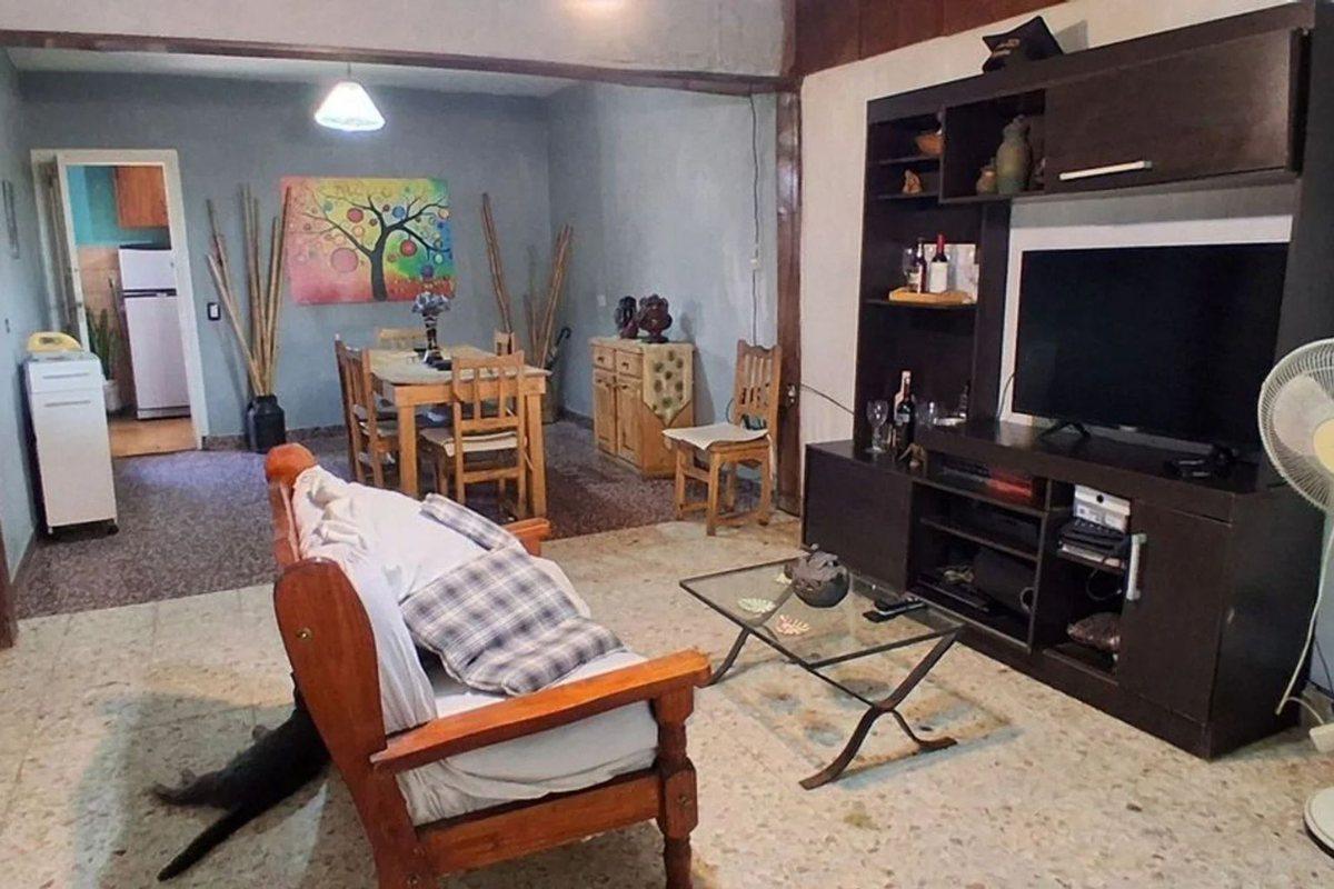 Foto de VENTA CASA 3 AMBIENTES CON PATIO EN EZPELETA, imagen 5