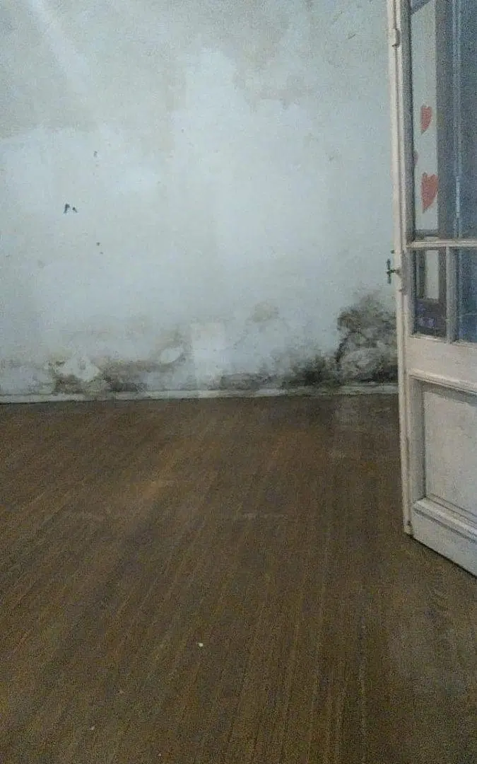 PH (Entrada por Pasillo), 3 Amb. Para Refaccionar, con Patio y Terraza 2