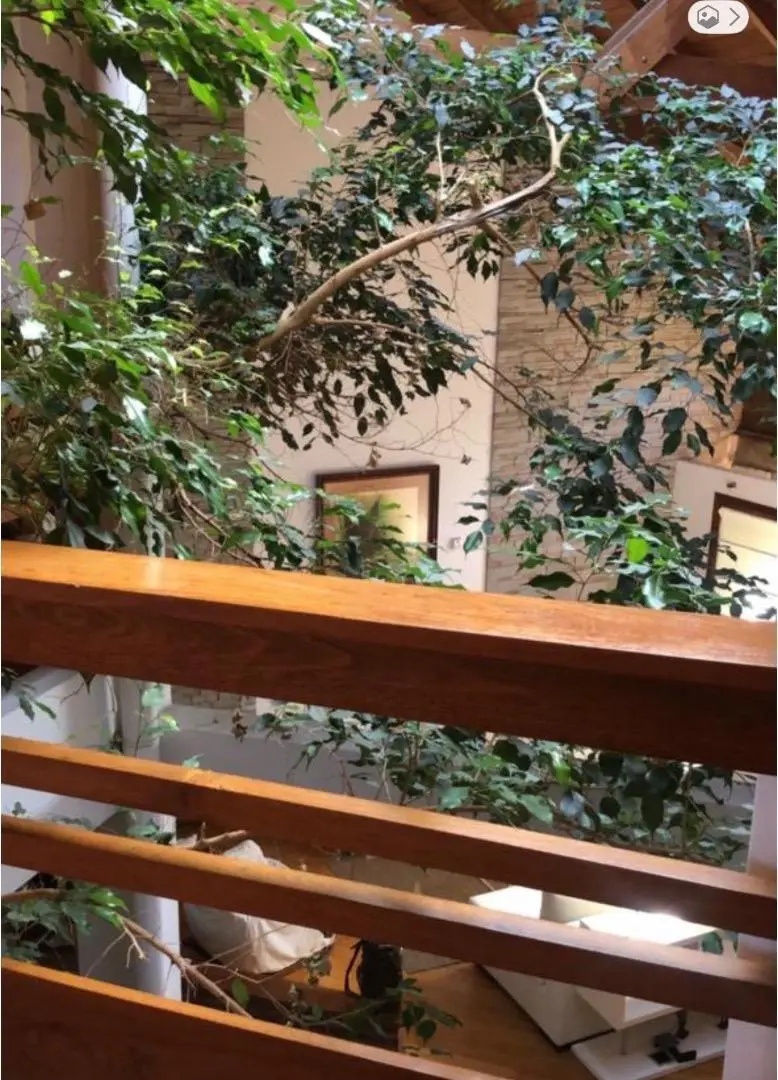 Venta Chalet 4 amb. Barrio San Carlos 3