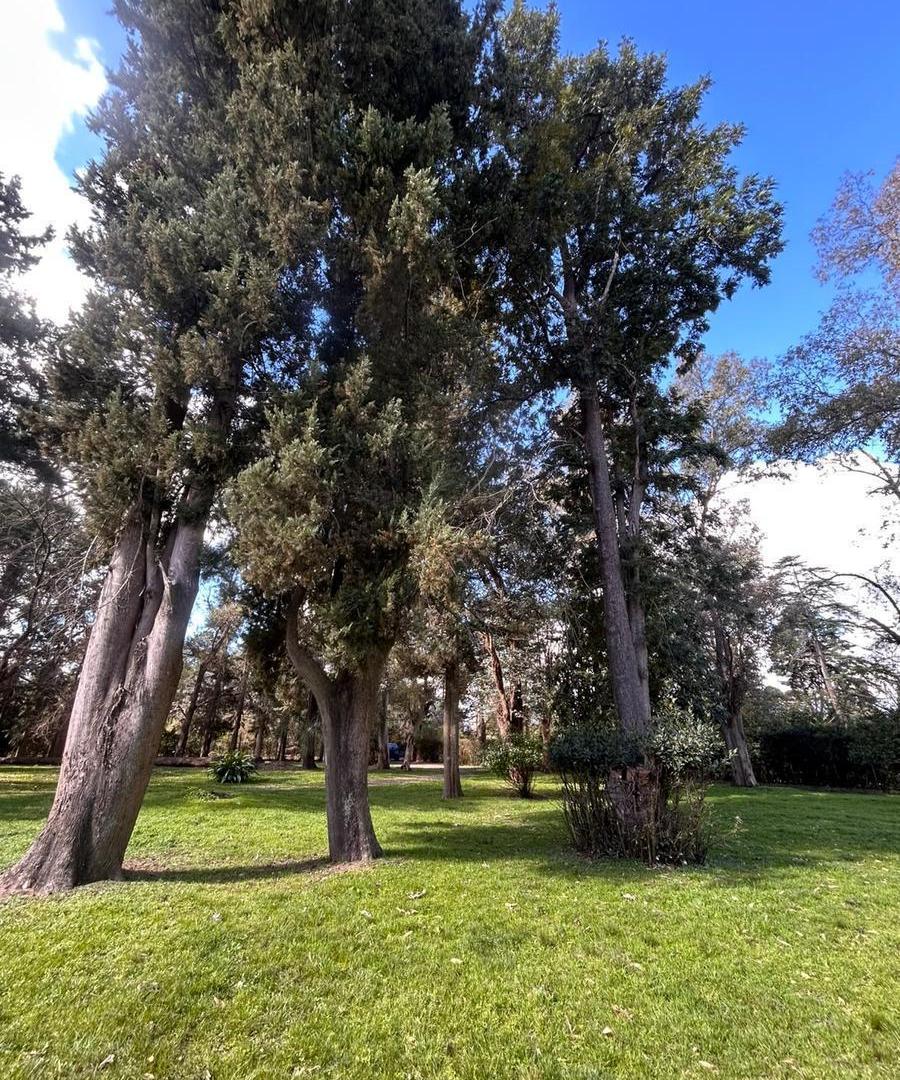 Foto de Chacra en venta, 5 esquinas, Los Cardales, imagen 4