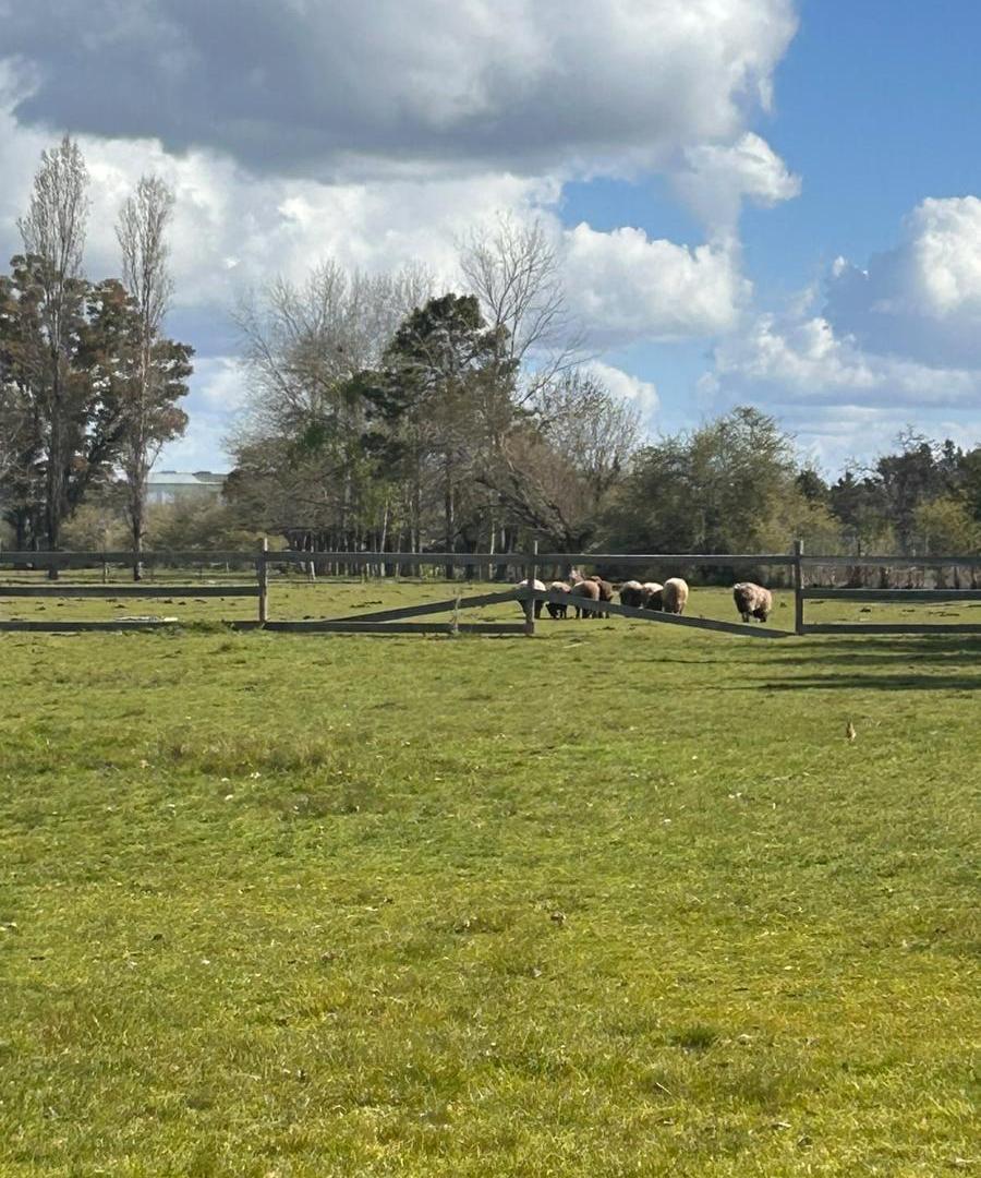 Foto de Chacra en venta, 5 esquinas, Los Cardales, imagen 2