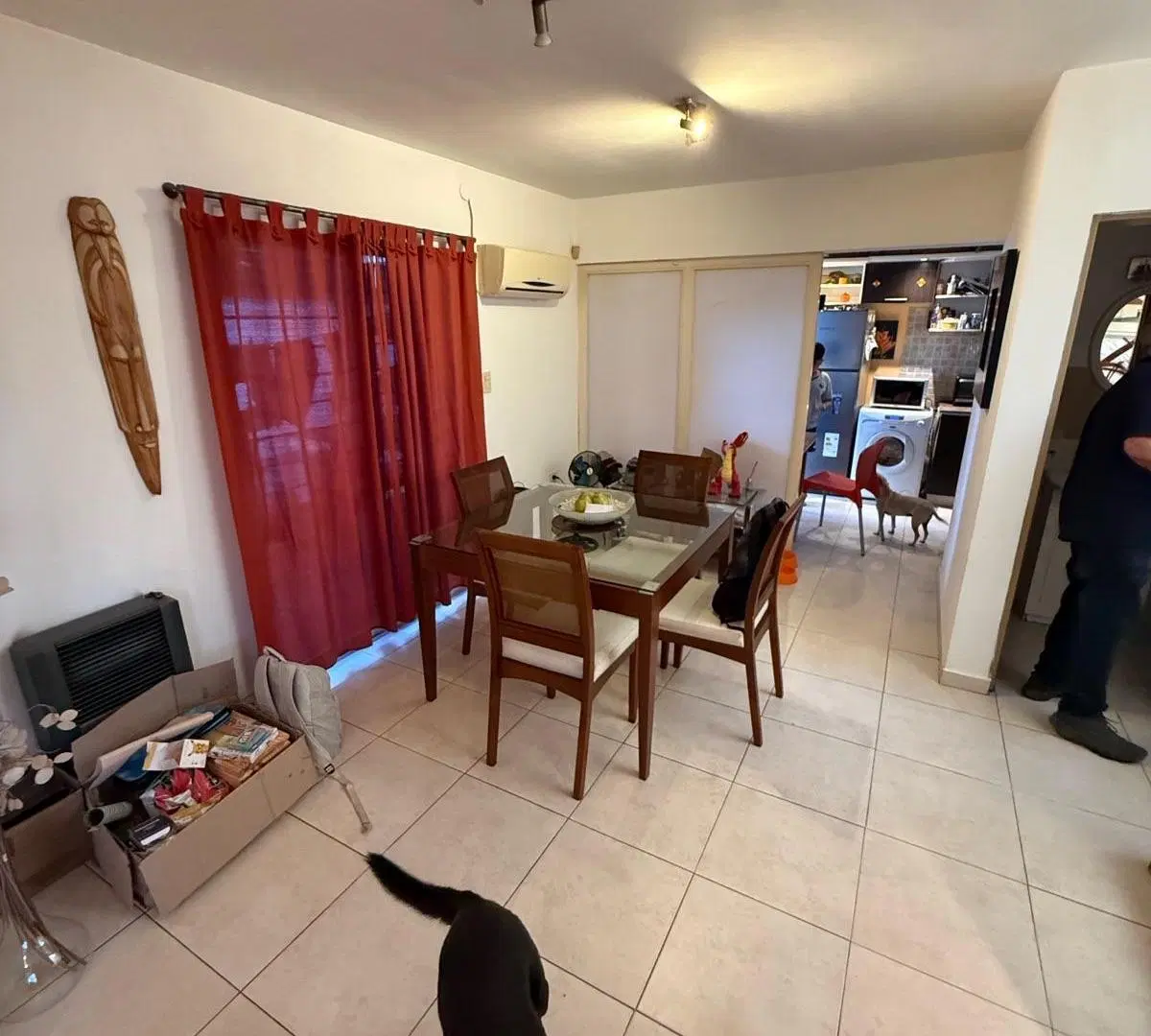 Casa en Nuevo Poeta Lugones 8