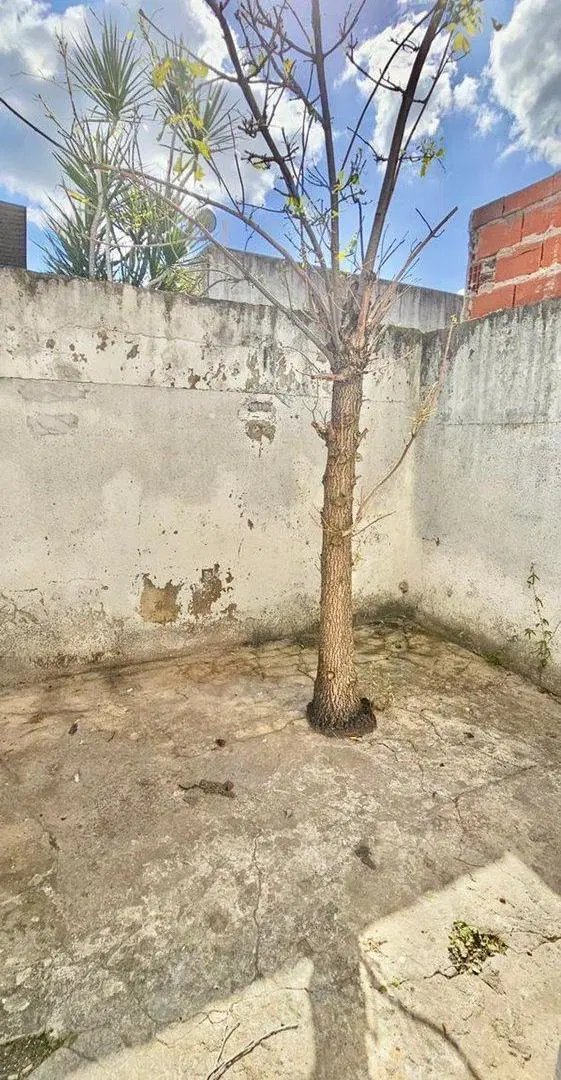 Galpon/depósito en venta Villa Libertad San Martín 5