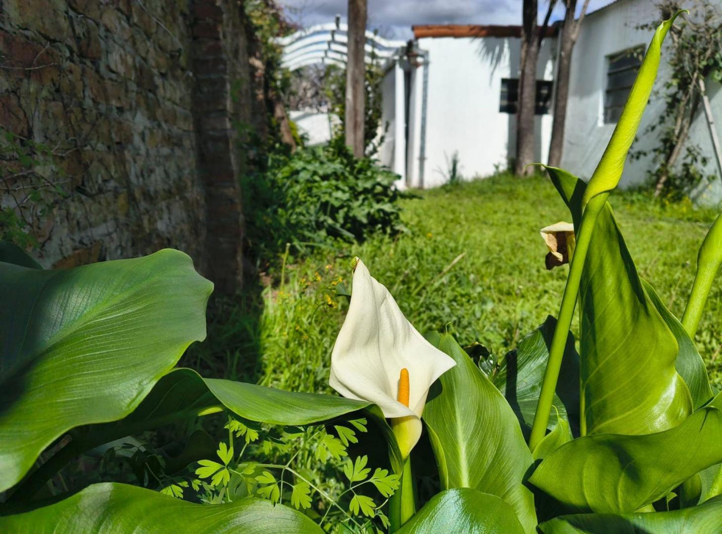 Foto de Casa en alquiler, 3 ambientes., imagen 3