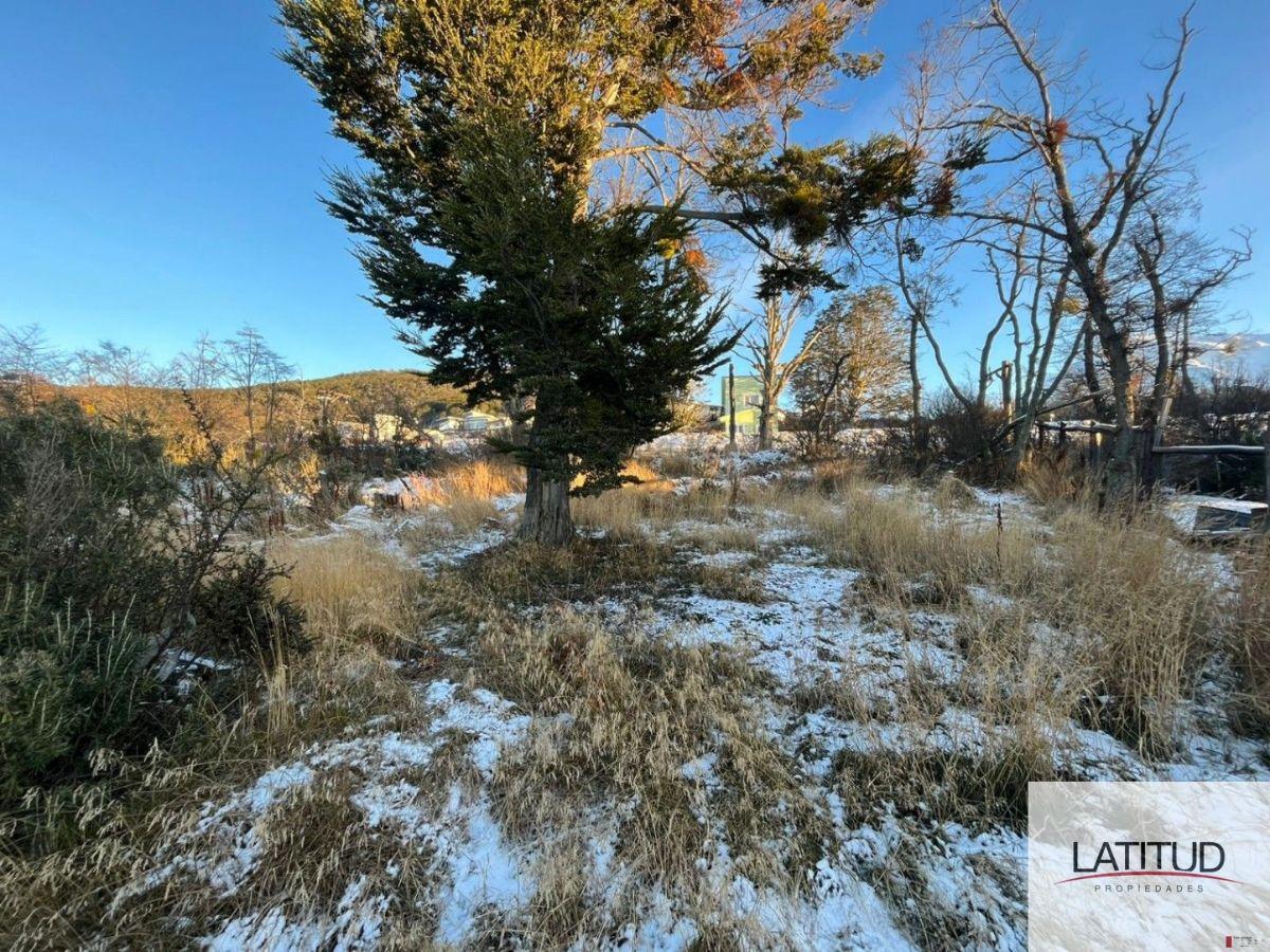 Excepcional lote de 1.224m² en el exclusivo barrio cerrado Bahía Cauquén