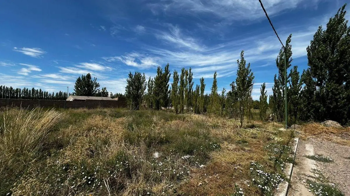 Terreno de 356m2 en Barrio Santa Clara 4
