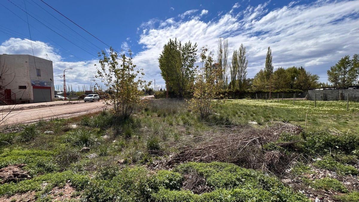 Foto de Lote en venta en Fernandez Oro, imagen 4
