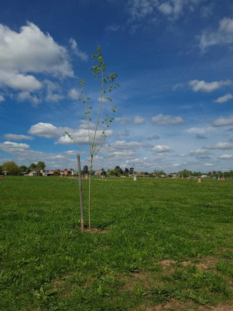 Foto de Terreno Lote en Venta en San Pablo Chico, Pilar, G.B.A. Zona Norte, imagen 1