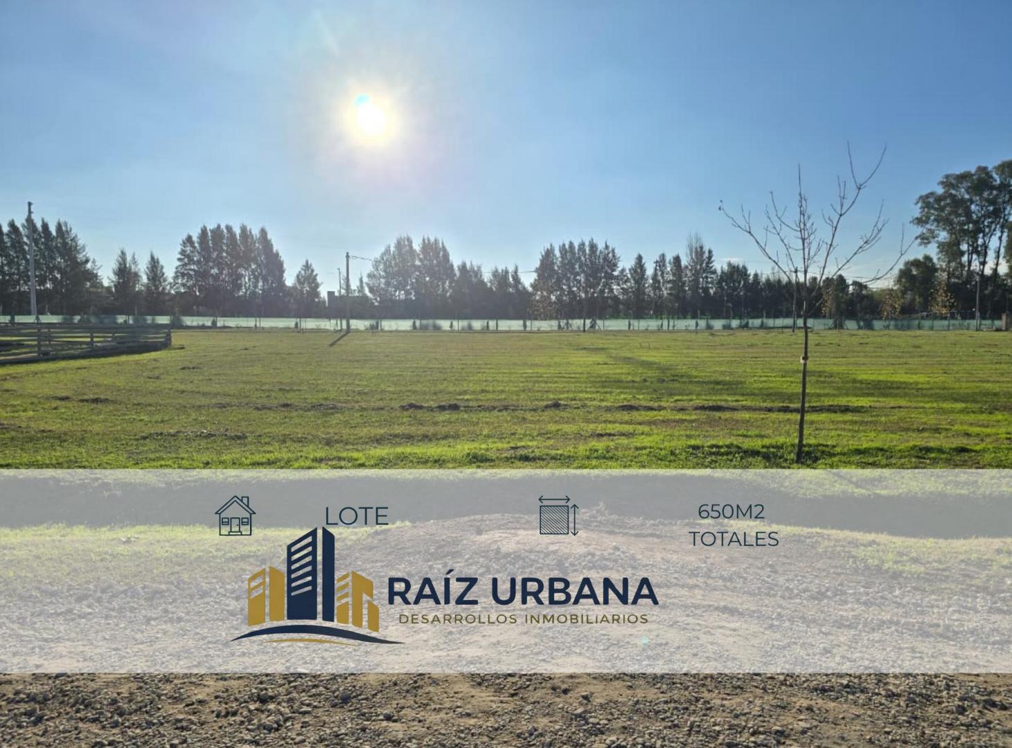 LOTE INTERNO EN VENTA EN FINCAS JOVEN