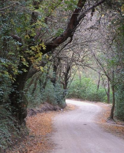 Foto de Terreno en La Falda, imagen 4