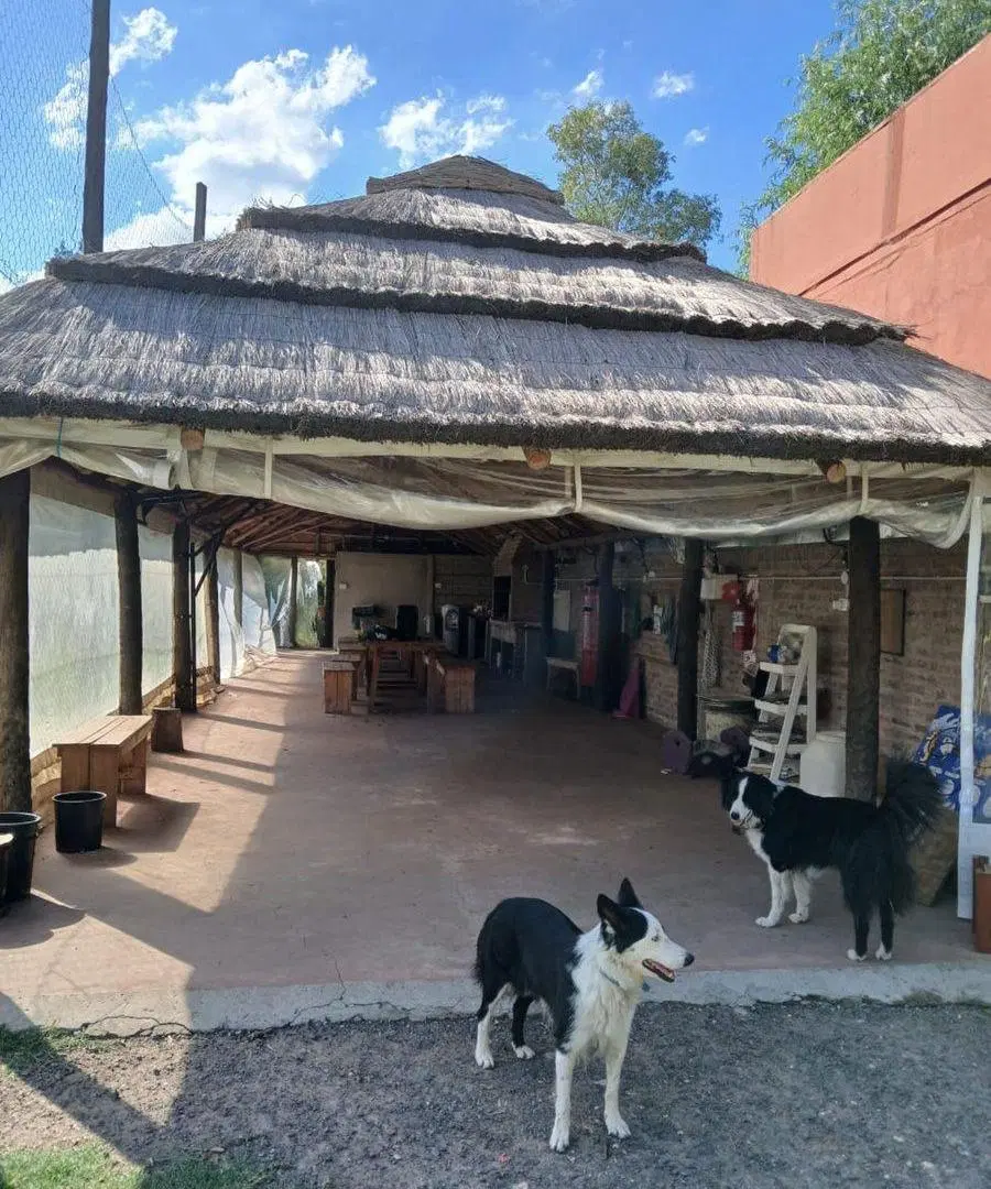 VENTA LOTE CON QUINCHO GRAL RODRIGUEZ 5