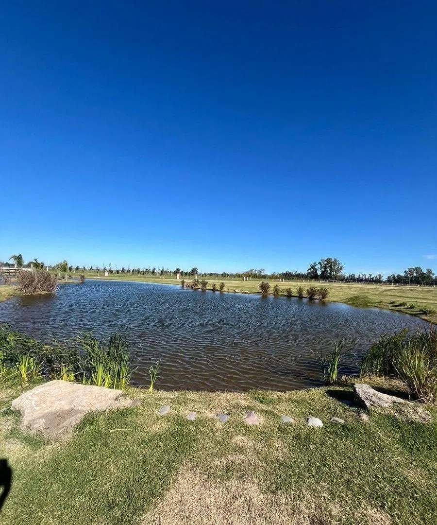 Lote en venta en Haras Andrea Virginia, Plomer 4