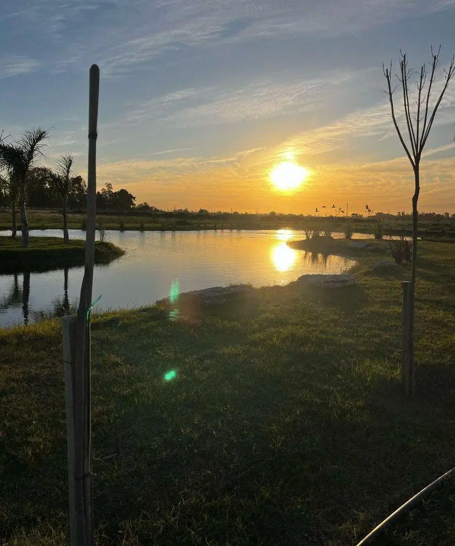 Lote en venta en Haras Andrea Virginia, Plomer 2