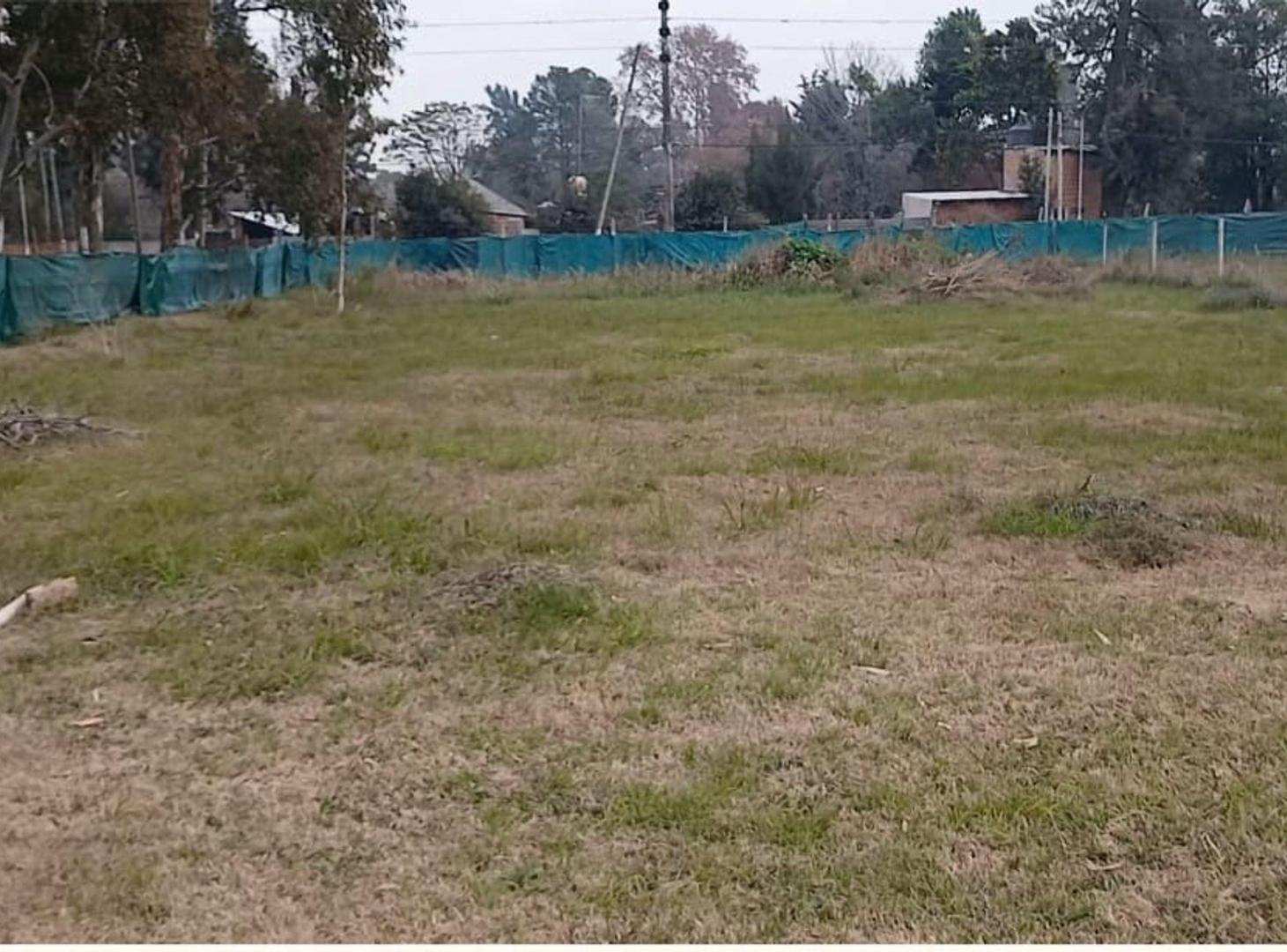 Foto de LOTE EN BARRIO SEMI CERRADO EN GRAL RODRIGUEZ, imagen 3