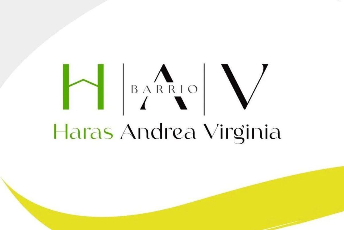 Foto de Lote en venta en Haras Andrea Virginia, Plomer, imagen 4