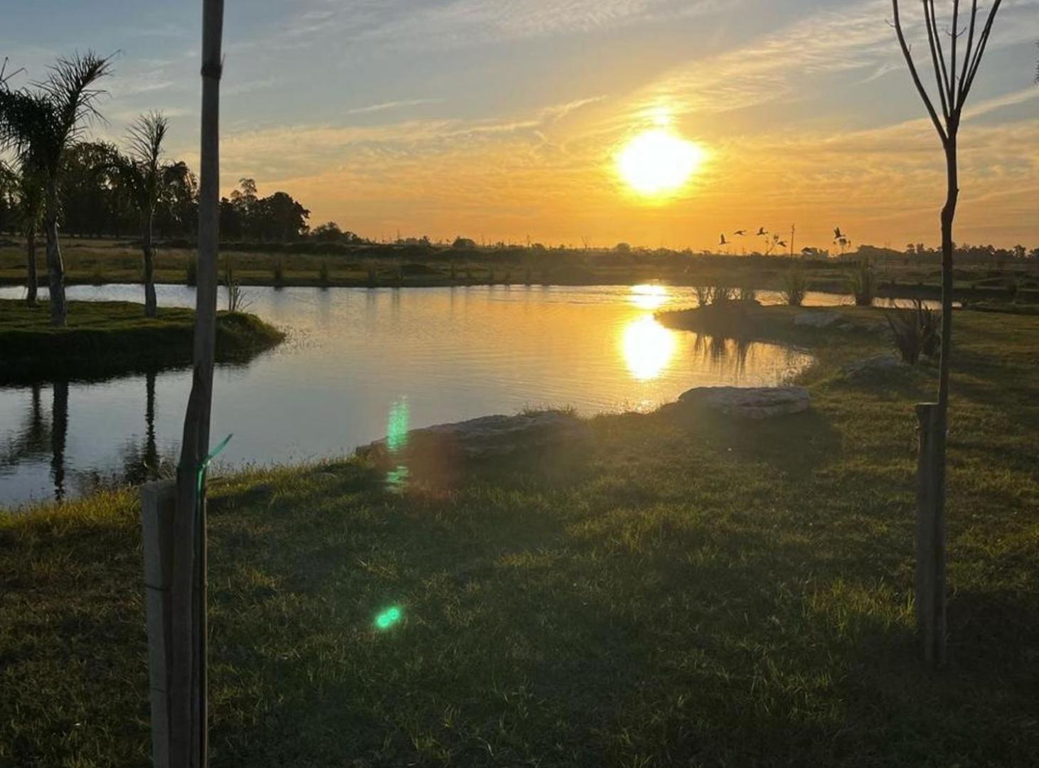 Foto de Lote en venta en Haras Andrea Virginia, Plomer, imagen 1