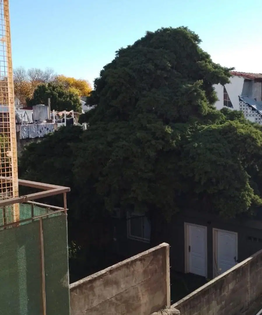 DEPARTAMENTO 3 AMBIENTES VENTA MONTE CASTRO BALCON 2
