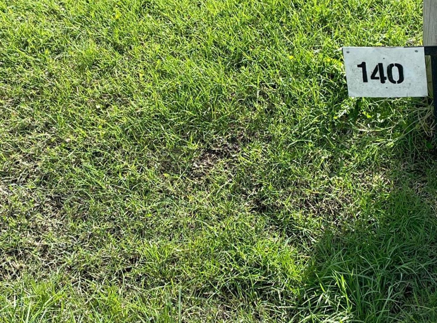 Foto de LOTE EN VENTA EN FINCAS DE SAN VICENTE, imagen 5