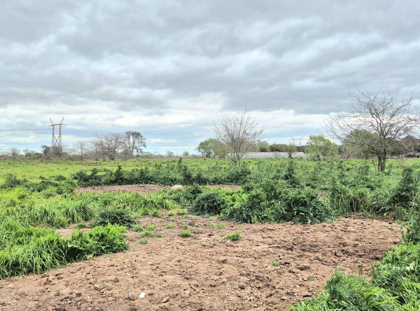 Foto de VENTA LOTE CAMPO CHACRA LA PLATA RUTA 2 PERMUTA, imagen 1