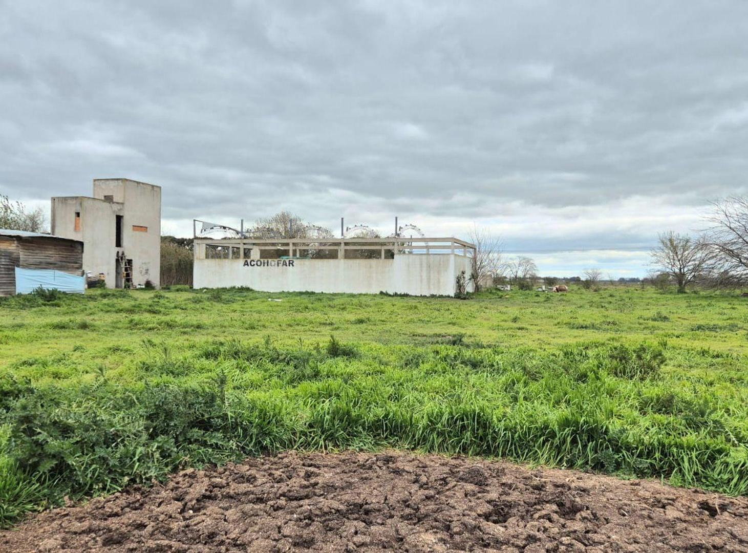 Foto de VENTA CHACRA LA PLATA RUTA 2 PERMUTA, imagen 2