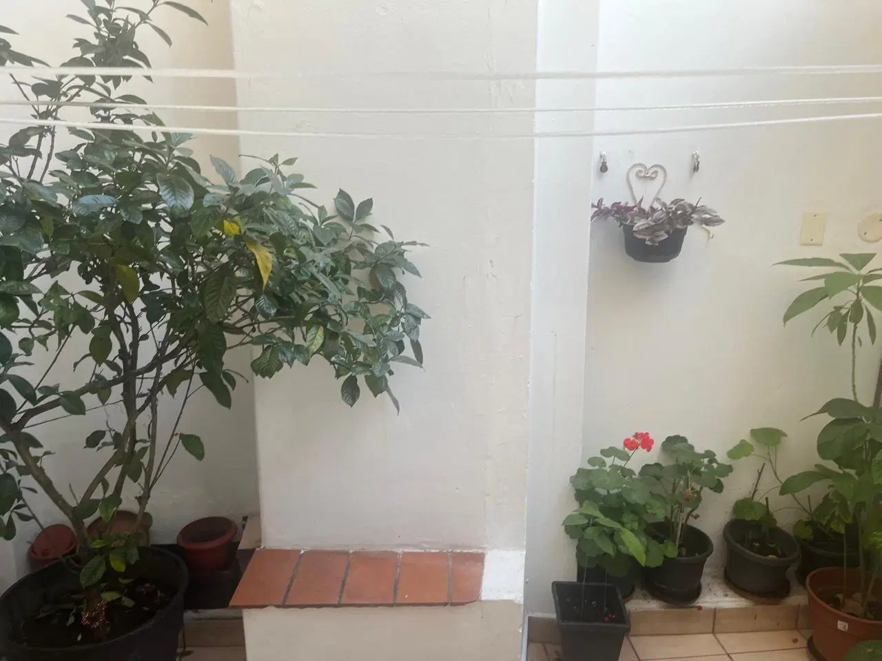 Venta de Departamento 4 Ambientes en Caballito, Capital Federal 1
