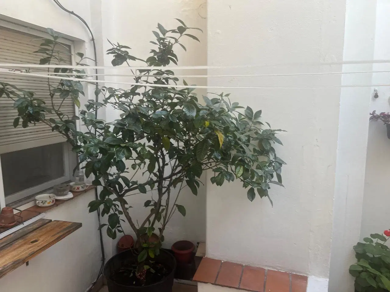Venta de Departamento 4 Ambientes en Caballito, Capital Federal 5