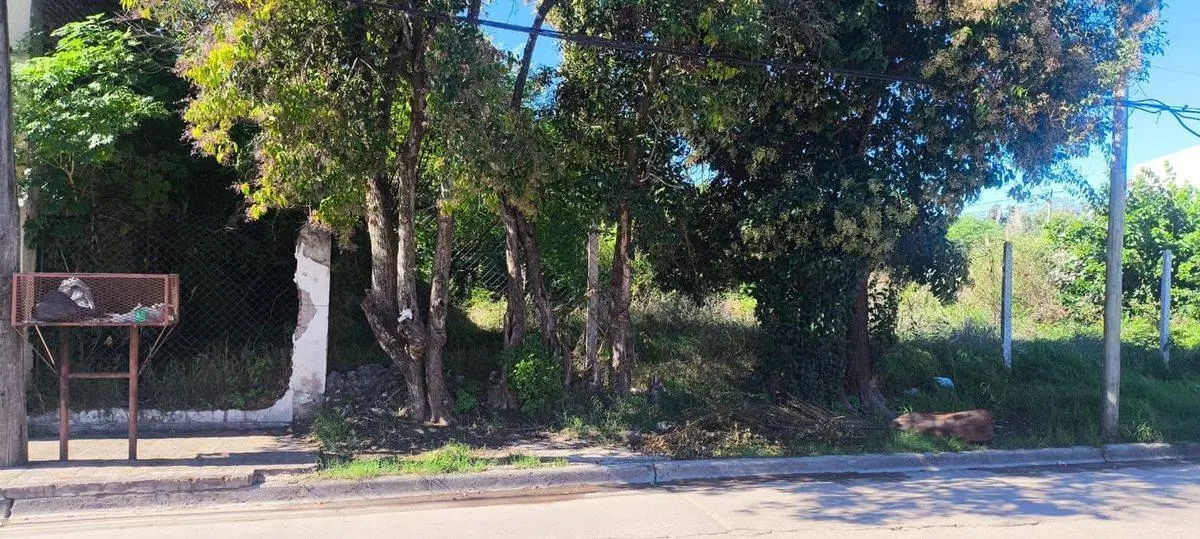 TERRENO CENTRO DE GRAL.RODRIGUEZ CALLE GUILLERMON 5