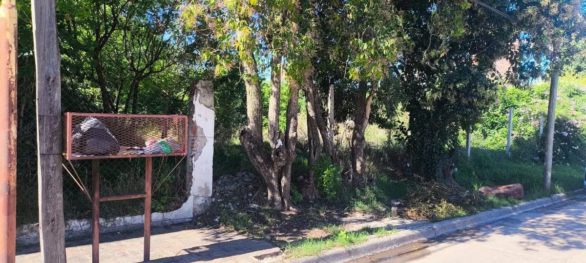 TERRENO CENTRO DE GRAL.RODRIGUEZ CALLE GUILLERMON 5