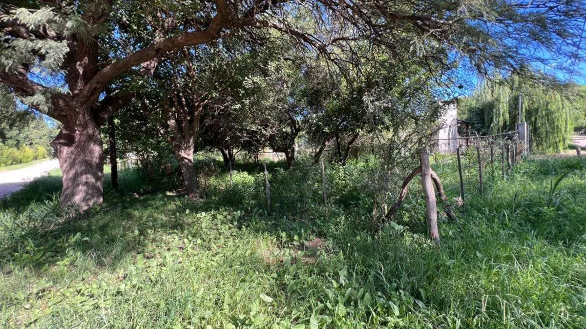 VENTA LOTE VILLA DEL TOTORAL 4