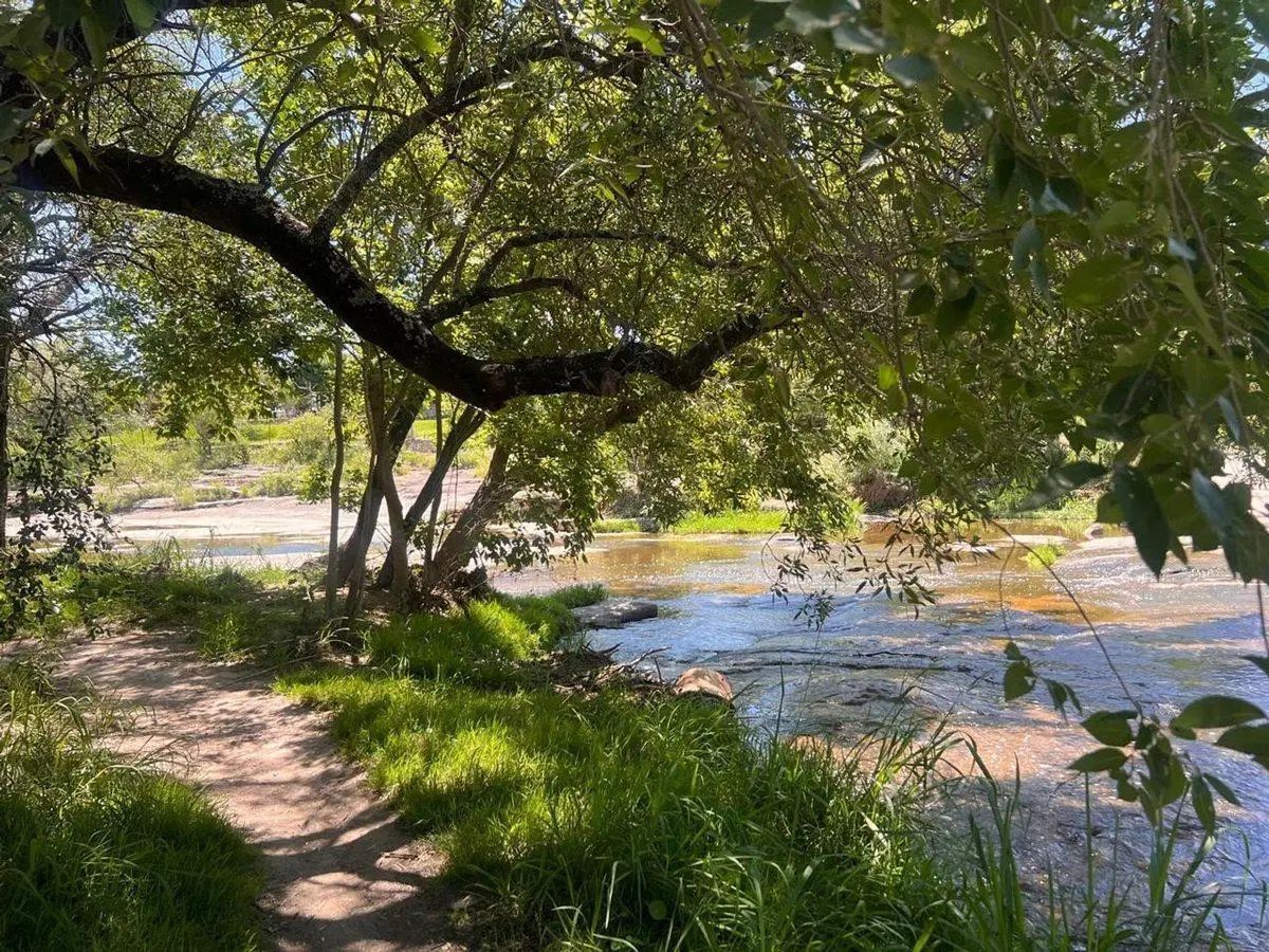 VENTA LOTE TANTI NUEVO 4