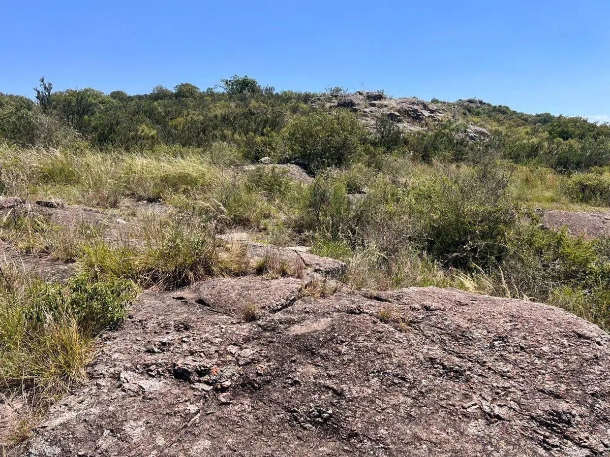 VENTA LOTE TANTI NUEVO 3