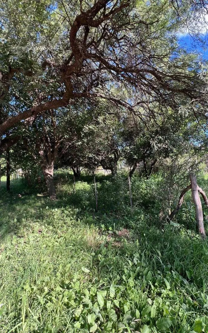 VENTA LOTE VILLA DEL TOTORAL 2