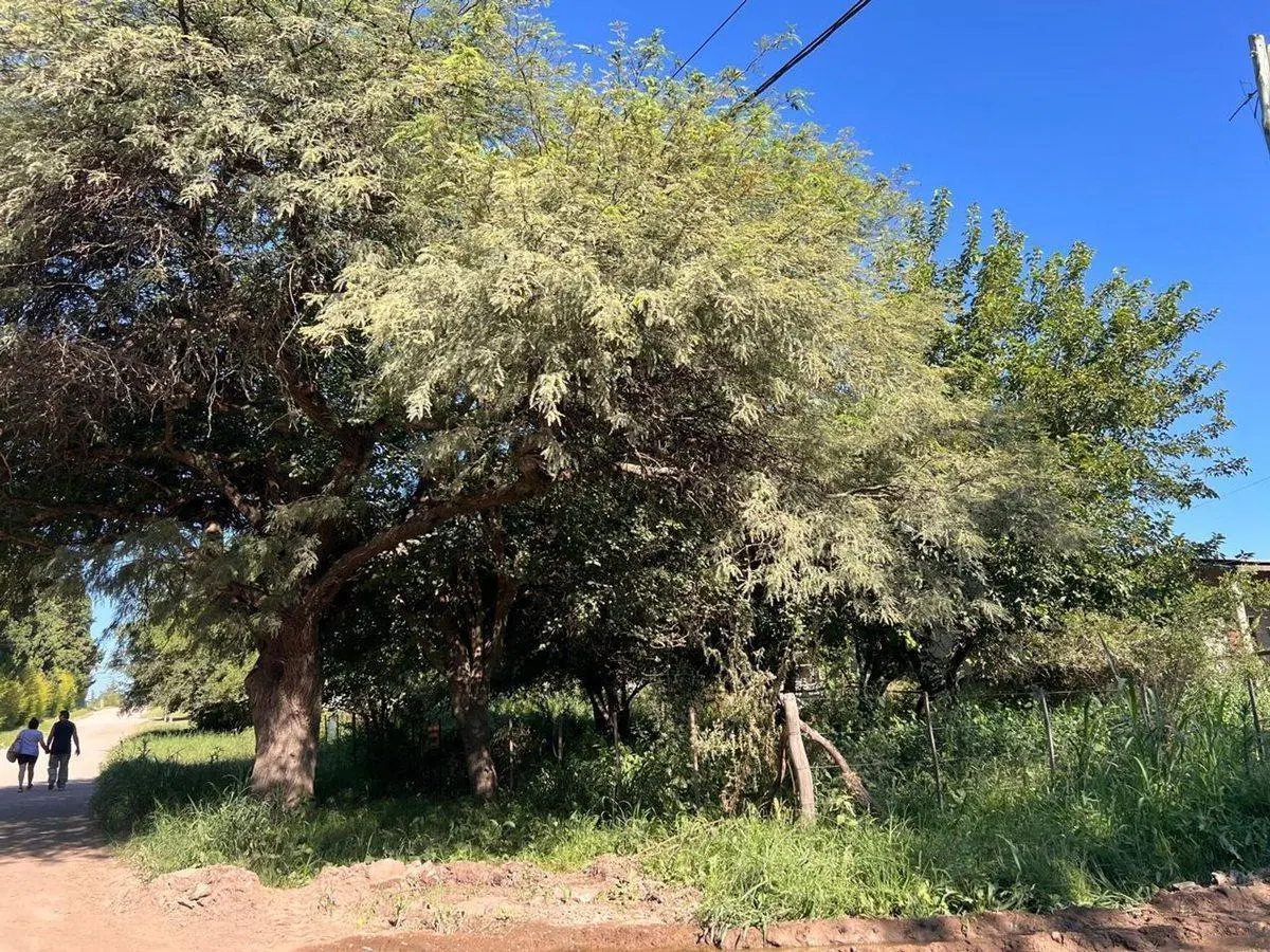 VENTA LOTE VILLA DEL TOTORAL 4