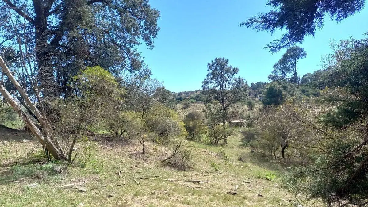 VENTA DE TERRENO EN CIUDAD DE AMERICA 4