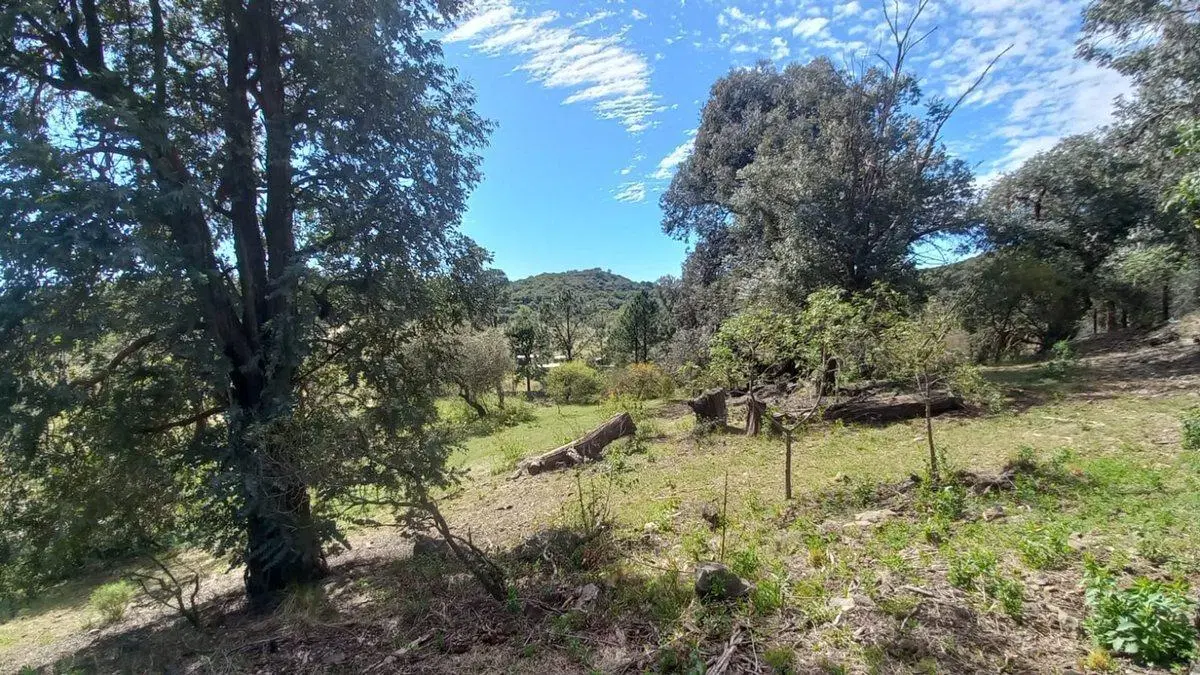 VENTA DE TERRENO EN CIUDAD DE AMERICA 5