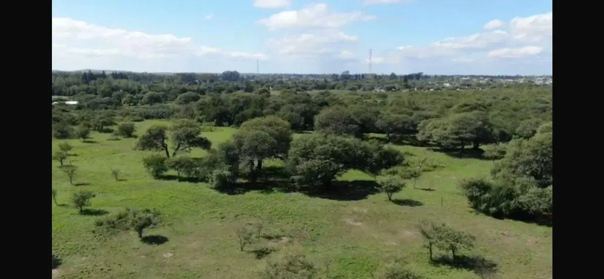 VENTA MACROLOTE 60.000 M2 VILLA DEL TOTORAL 3