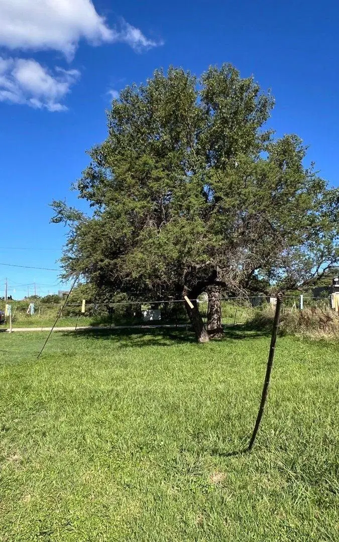 VENTA LOTE VILLA DEL TOTORAL 5