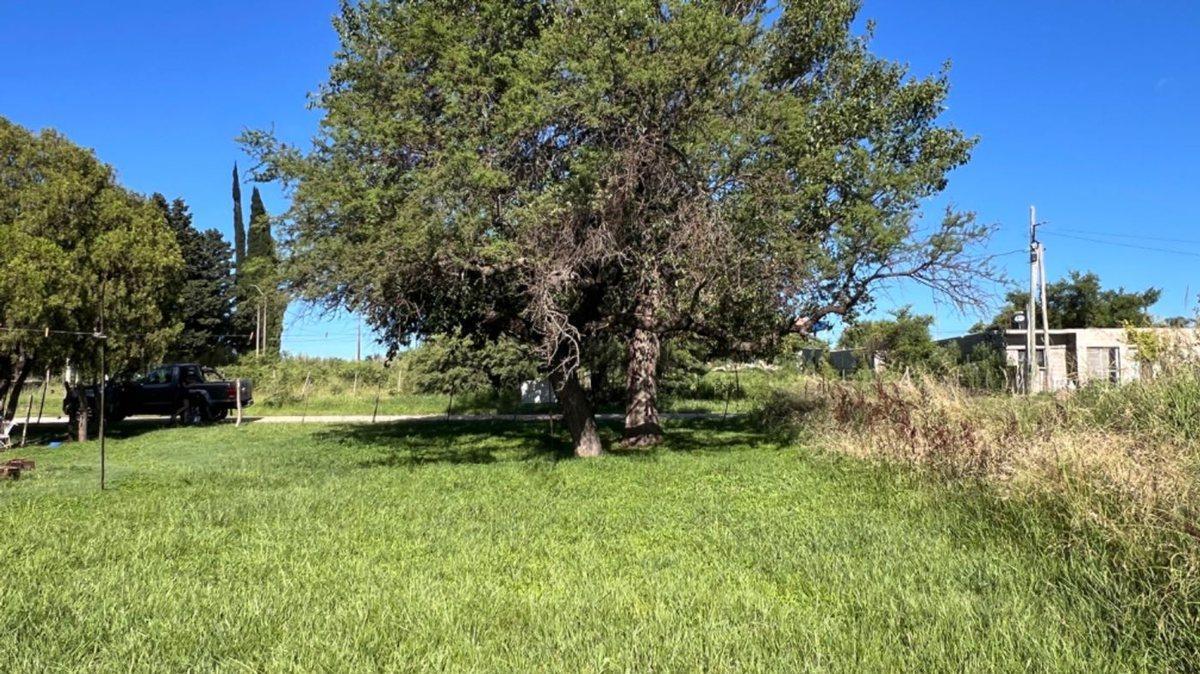 VENTA LOTE VILLA DEL TOTORAL