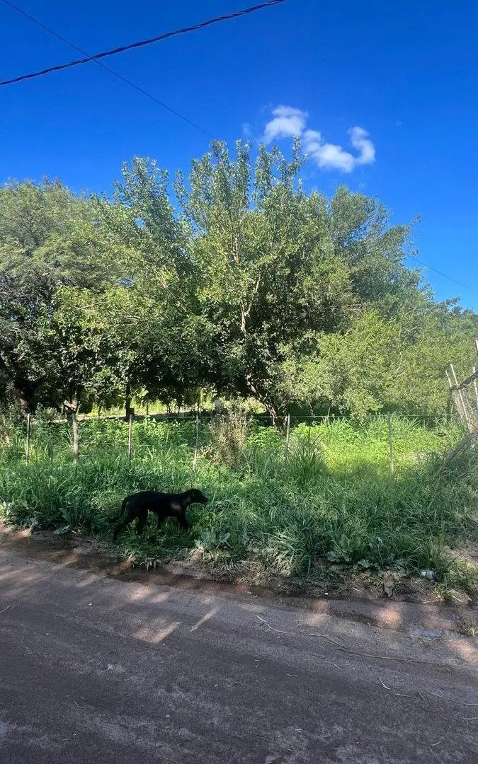 VENTA LOTE VILLA DEL TOTORAL 3