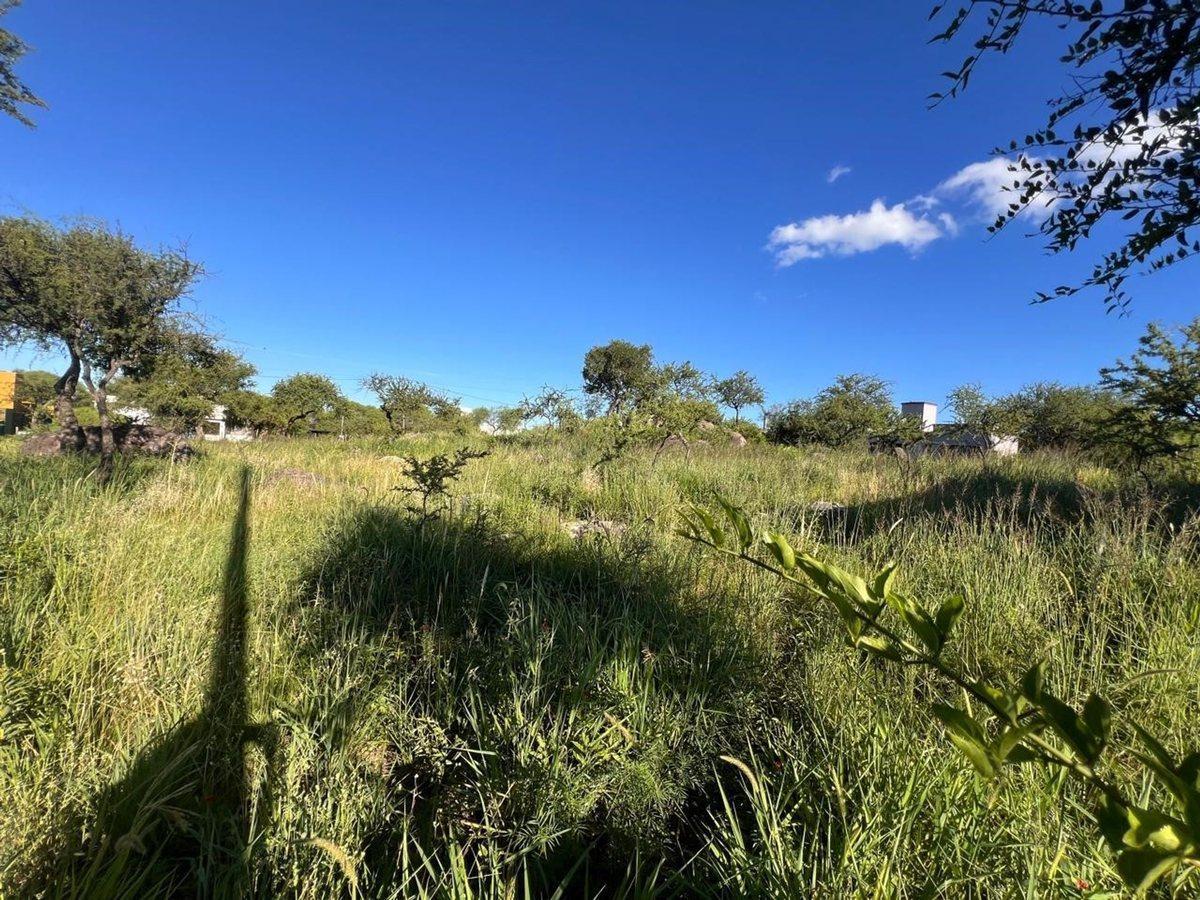 VENTA LOTE VILLA DEL TOTORAL LA PEDRERA