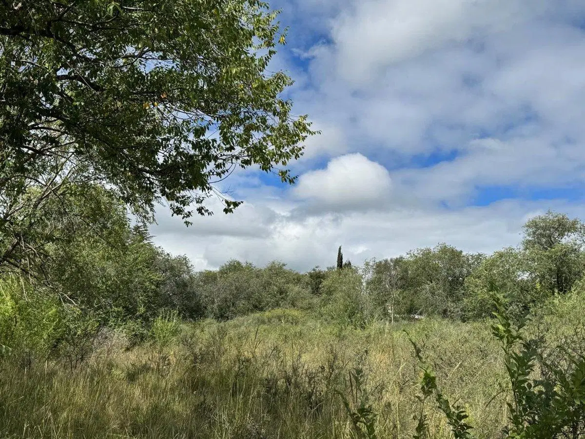 VENTA DE TERRENO EN LA CUMBRE 2