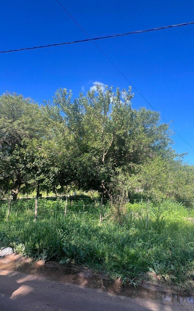 Foto de VENTA LOTE VILLA DEL TOTORAL, imagen 2