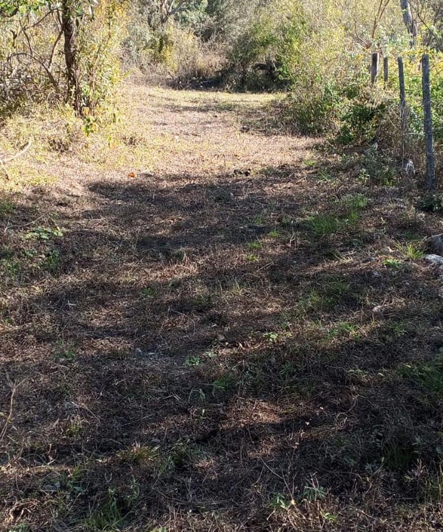 Foto de VENTA LOTE CAMINO PAN DE AZUCAR, imagen 1