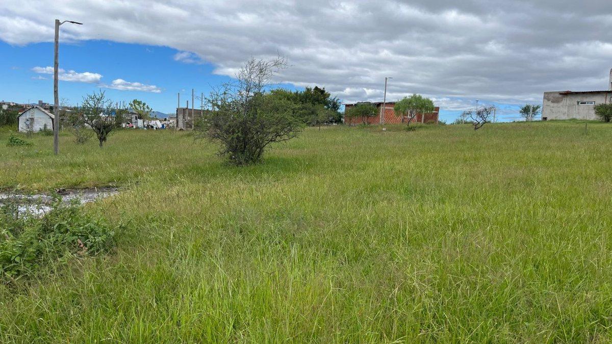 Foto de VENTA TERRENO TANTI 1567 m2, imagen 5