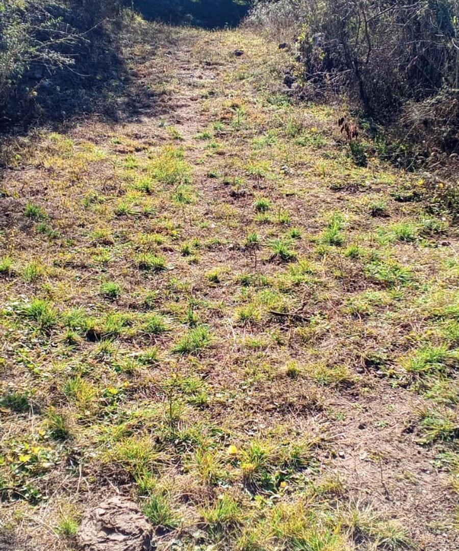 Foto de VENTA LOTE CAMINO PAN DE AZUCAR, imagen 4