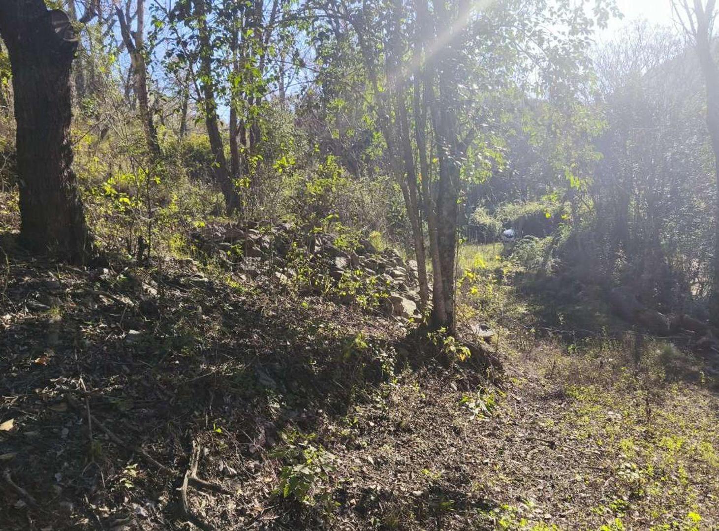 Foto de VENTA LOTE CAMINO PAN DE AZUCAR, imagen 1