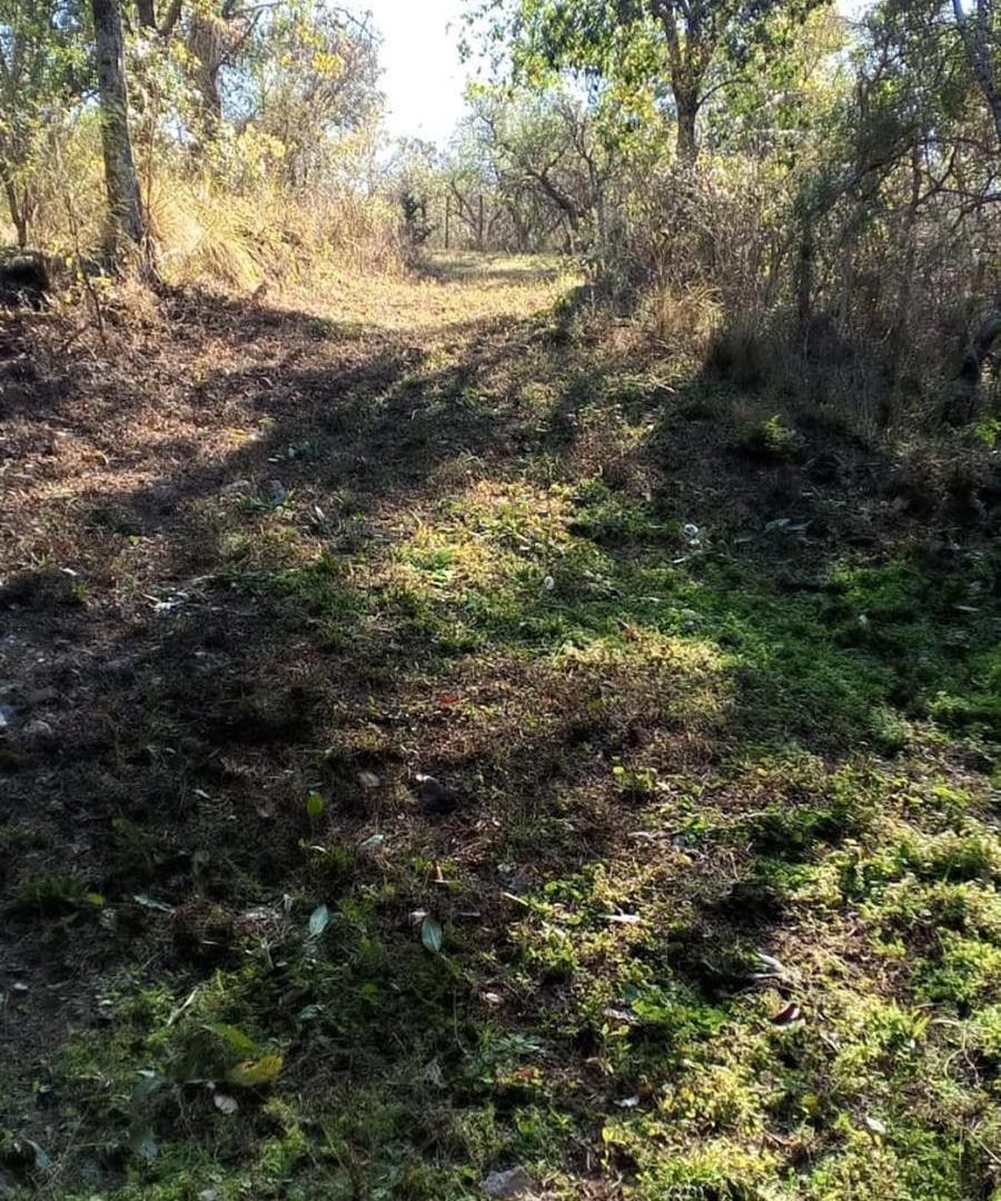 Foto de VENTA LOTE CAMINO PAN DE AZUCAR, imagen 3