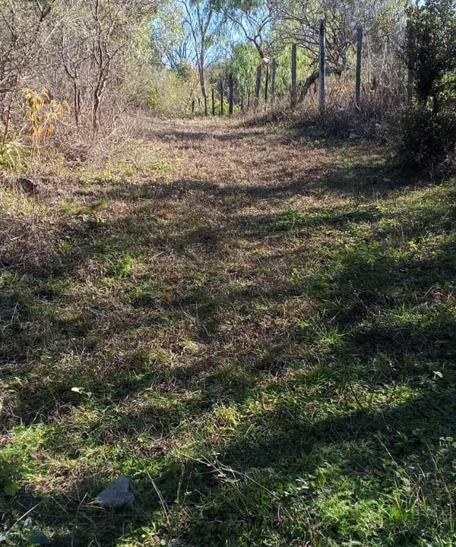 Foto de VENTA LOTE CAMINO PAN DE AZUCAR, imagen 5