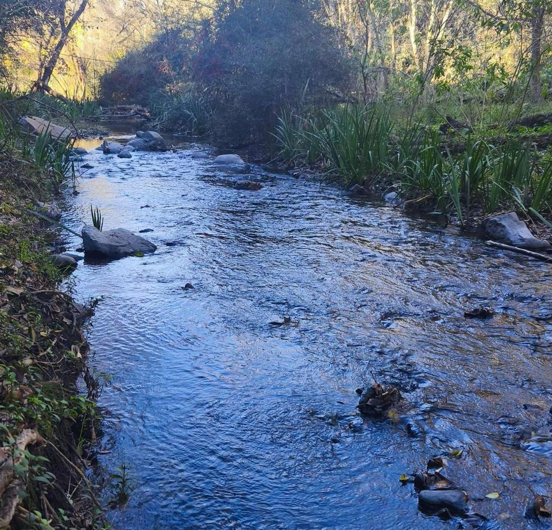 Foto de VENTA LOTE CAMINO PAN DE AZUCAR, imagen 2